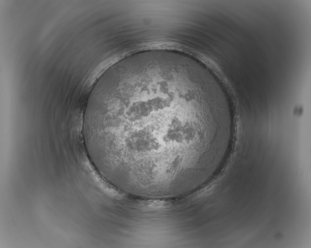 X0000113340841200909291027