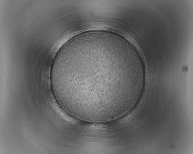 X0000113340842200909291027