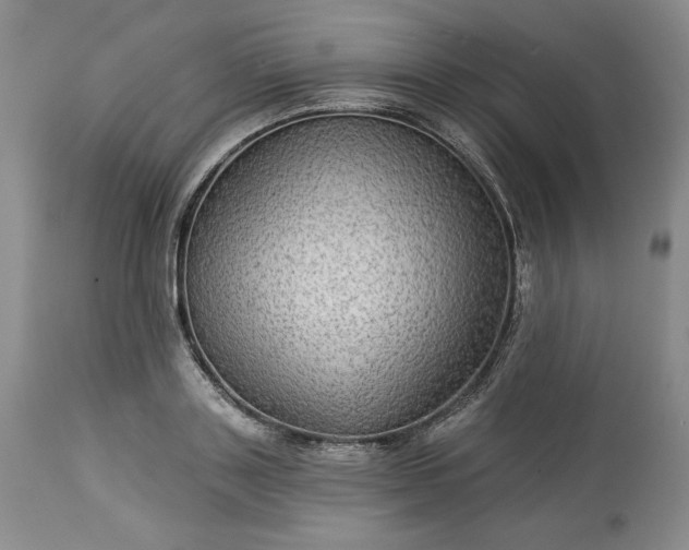 X0000113340843200909291027