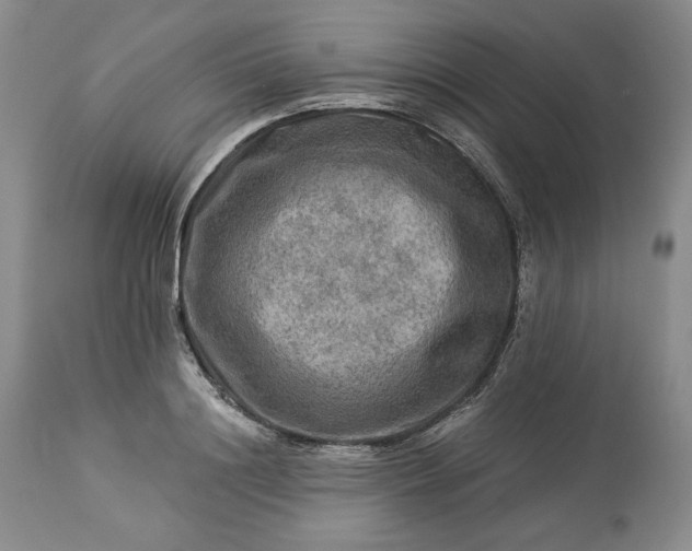 X0000113340844200909291027