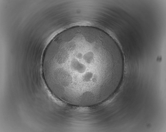 X0000113340845200909291027