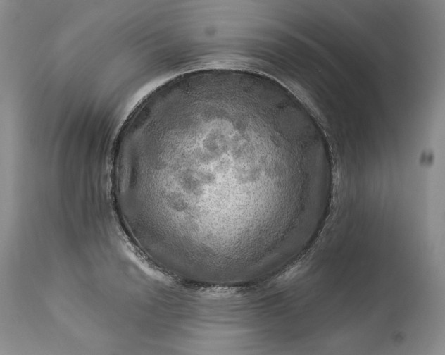 X0000113340846200909291028