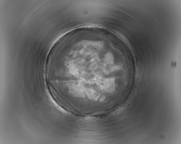 X0000113340847200909291028