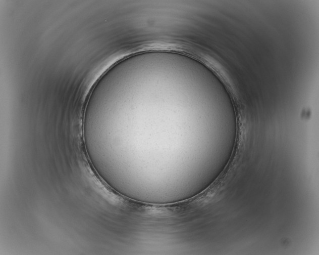 X0000113340852200909291028