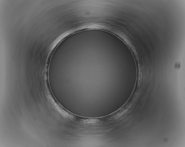 X0000113340853200909291028