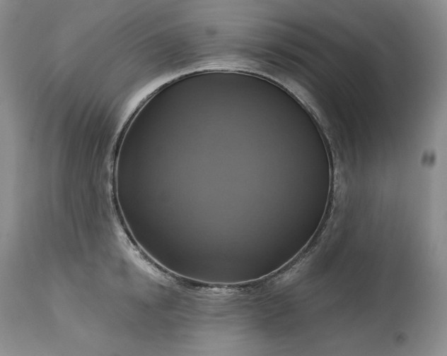 X0000113340854200909291028