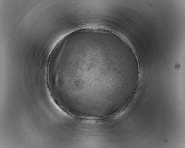 X0000113340855200909291028