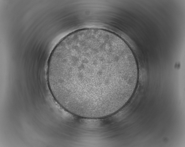 X0000113340856200909291028