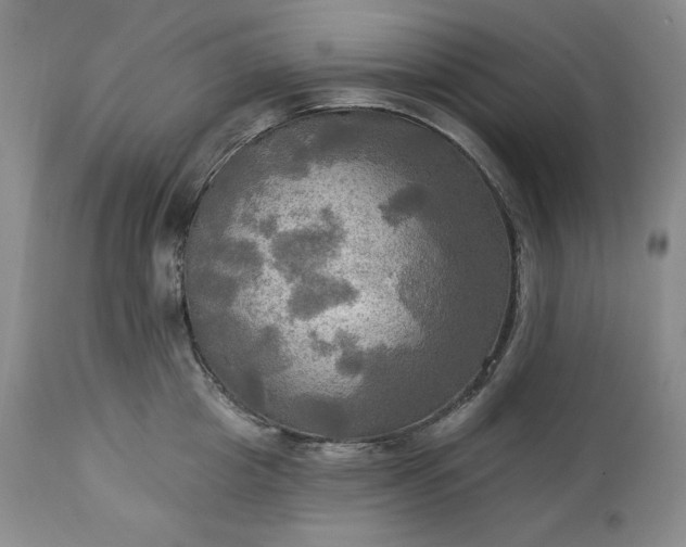 X0000113340857200909291028