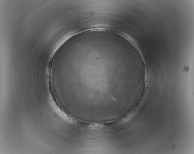 X0000113340859200909291028