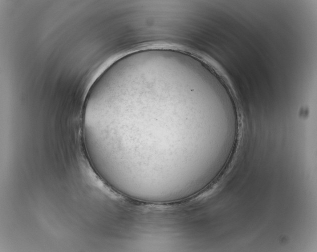 X0000113340860200909291028