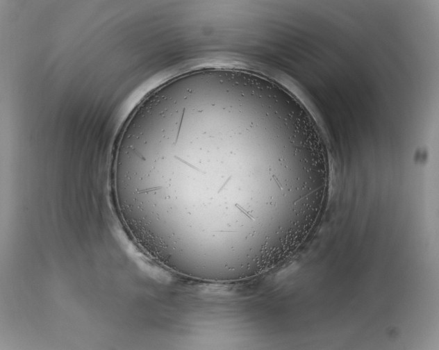 X0000113340861200909291028