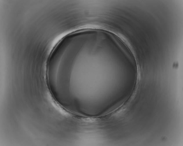 X0000113340862200909291028