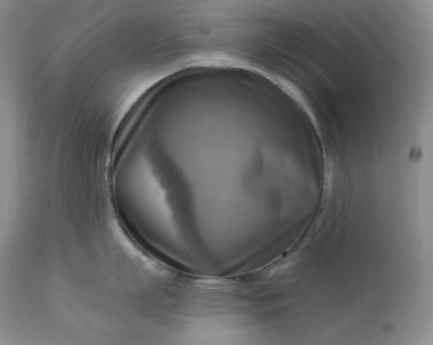 X0000113340863200909291028