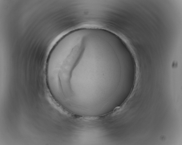 X0000113340864200909291028