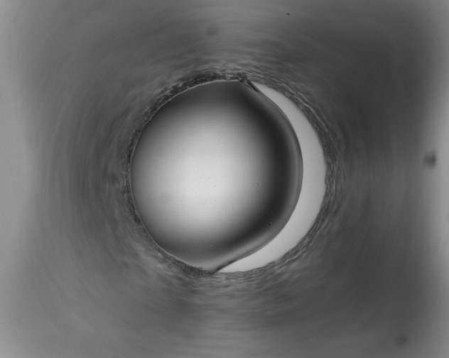 X0000113340865200909291027