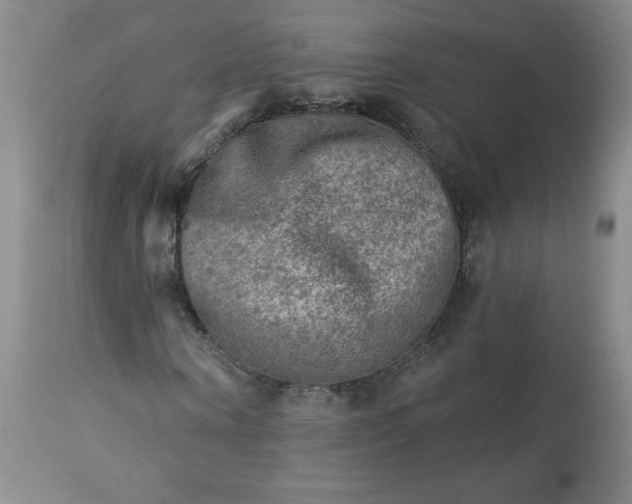 X0000113340866200909291027