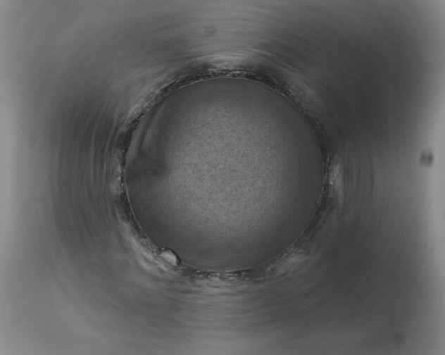 X0000113340868200909291027