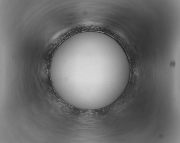 X0000113340869200909291027