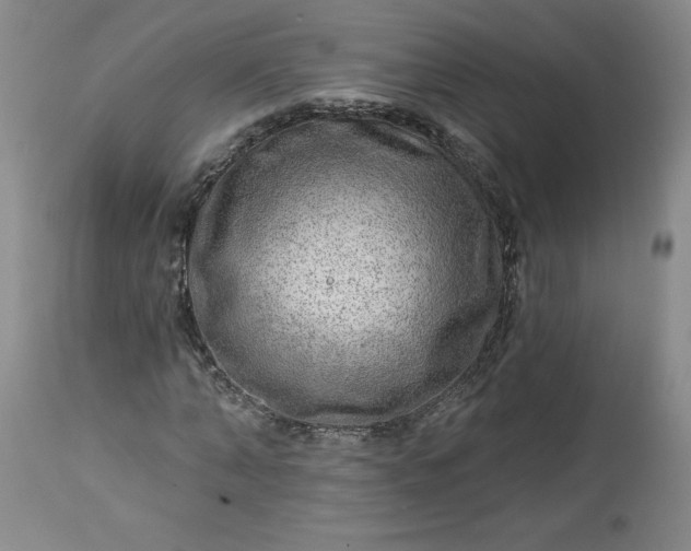 X0000113340870200909291027