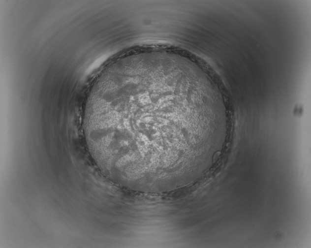 X0000113340871200909291027