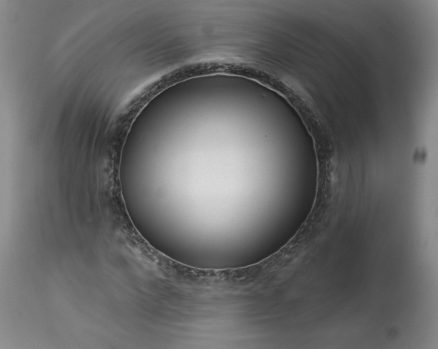 X0000113340872200909291027