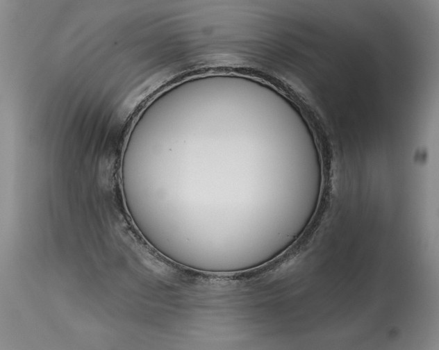 X0000113340873200909291027