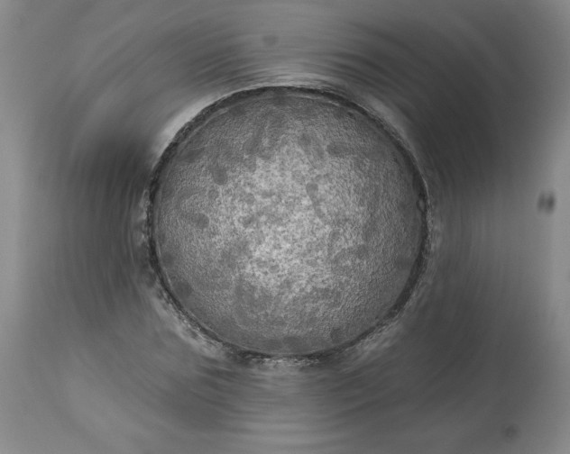 X0000113340875200909291027