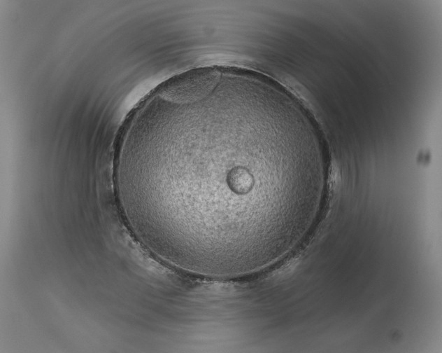 X0000113340877200909291027