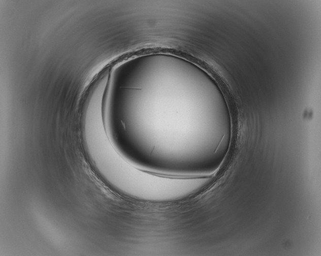 X0000113340878200909291027