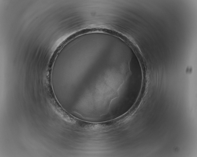 X0000113340879200909291027