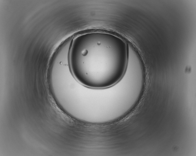 X0000113340880200909291027