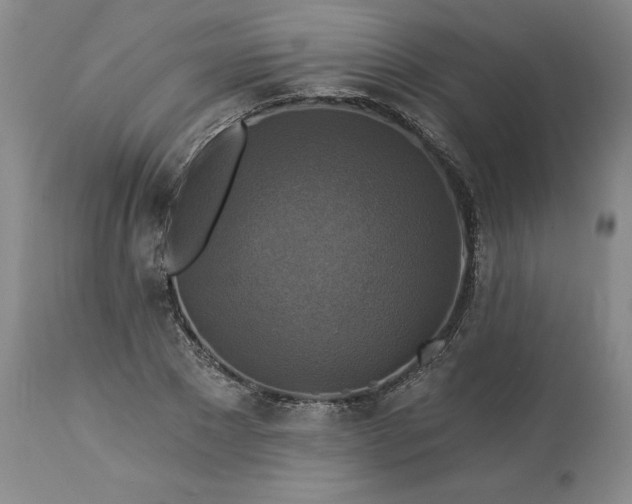 X0000113340881200909291027