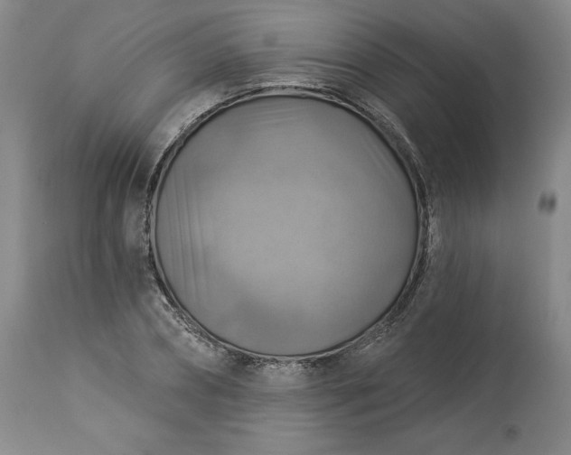 X0000113340882200909291027