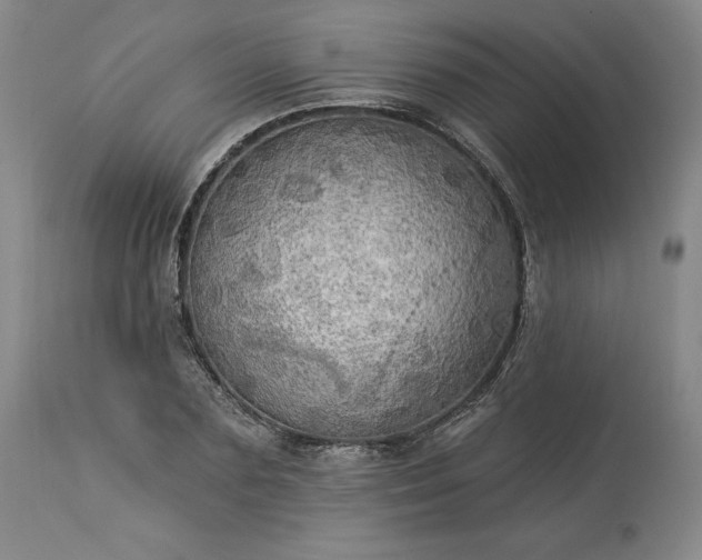 X0000113340883200909291027