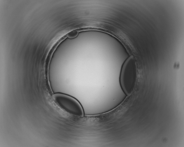 X0000113340884200909291027