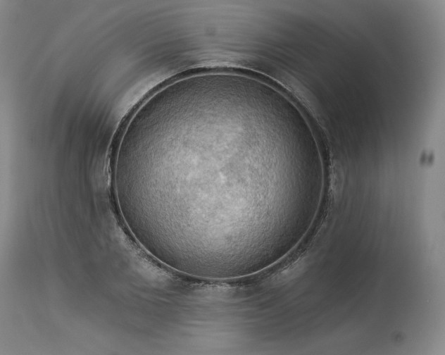 X0000113340885200909291027