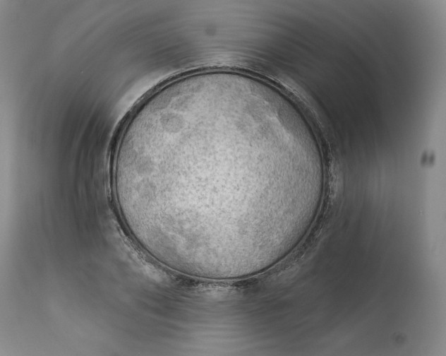 X0000113340886200909291027