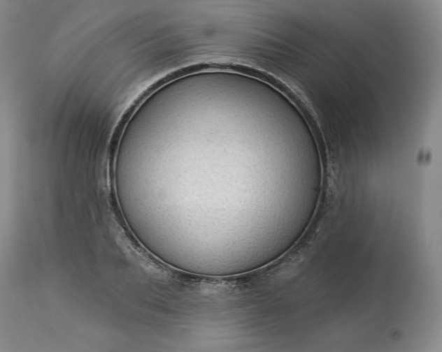 X0000113340887200909291027