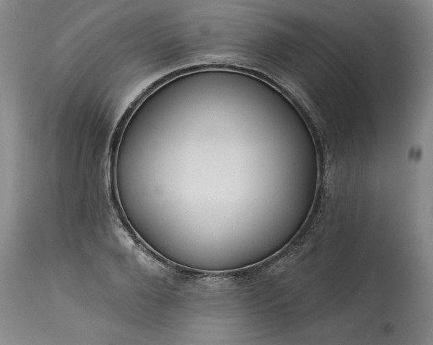 X0000113340888200909291027