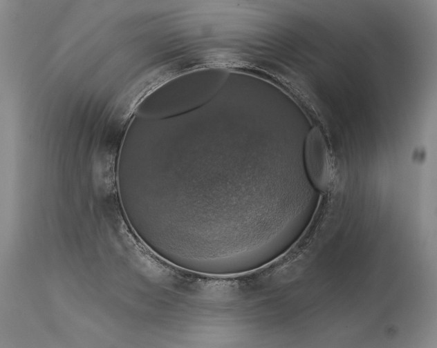 X0000113340889200909291027