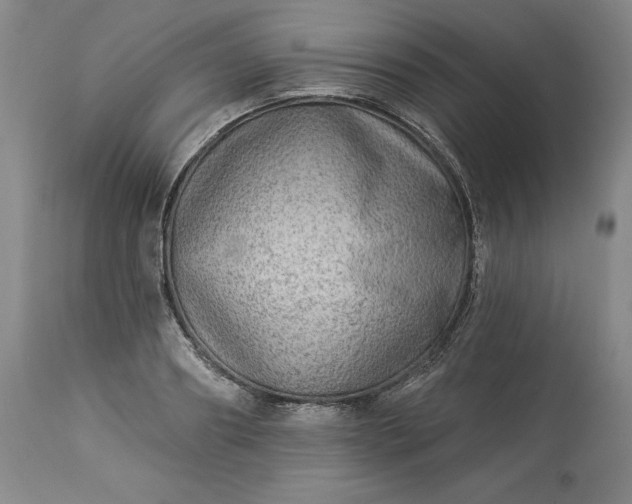 X0000113340890200909291027