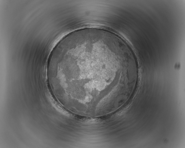 X0000113340891200909291027