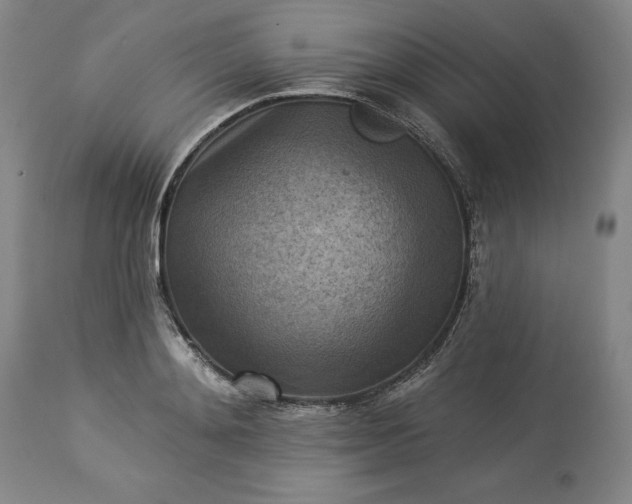 X0000113340892200909291027