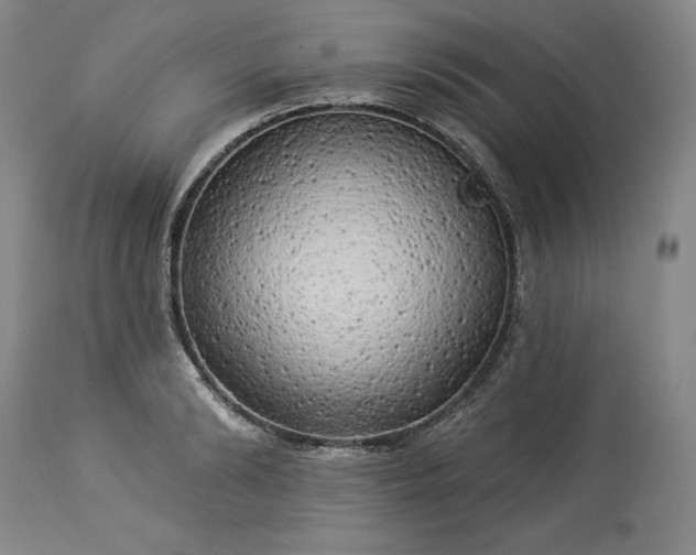 X0000113340894200909291027