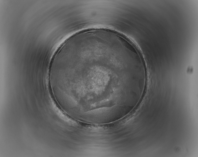 X0000113340895200909291027