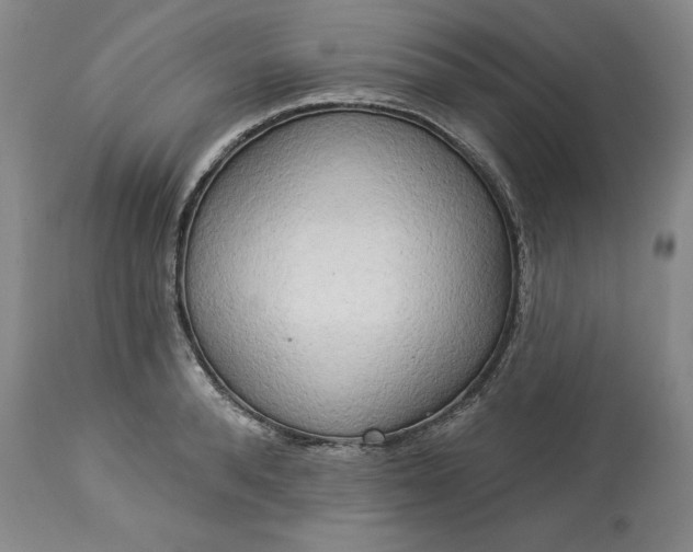 X0000113340896200909291027