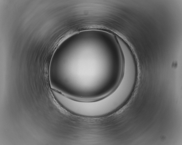 X0000113340897200909291027