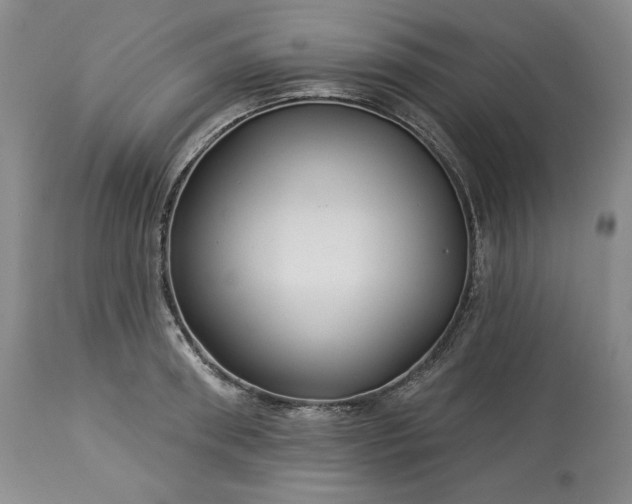 X0000113340898200909291027