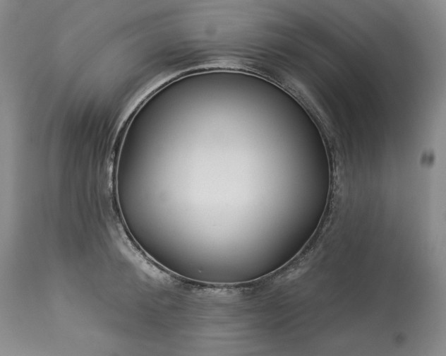 X0000113340900200909291027